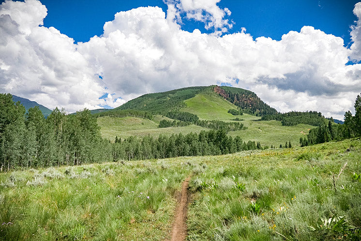 Singletrack in Gunnison Valley, Colorado