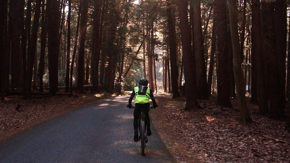 Will rolling through the Eastern Hemlock's found within the Alan Seeger Natural Area.
